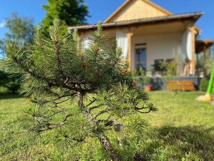 Napfény Vendégház10