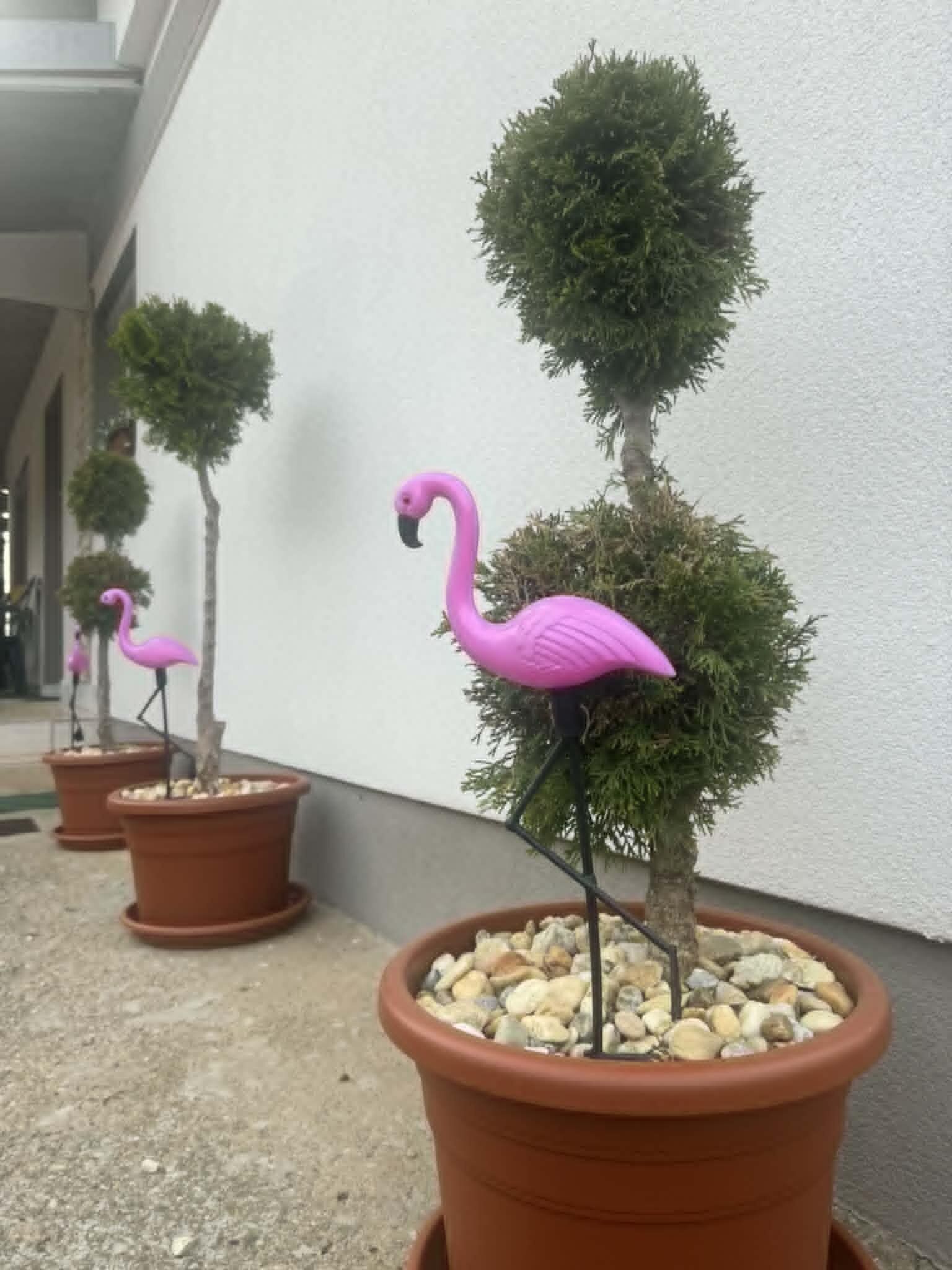 Flamingo Apartman – Sümeg fotó 19