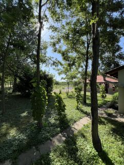 Akácos Tanya Vendégház Szarvas32
