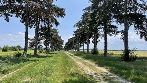 Szilvia Apartman16