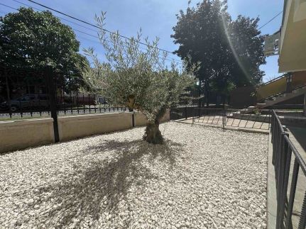 Olajfa Apartman3