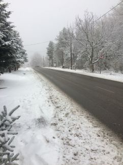 Bakonyi Mamutfenyő Vendégház10