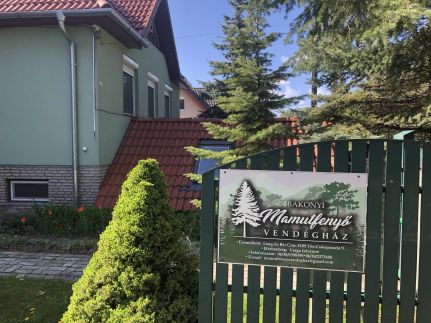 Bakonyi Mamutfenyő Vendégház48