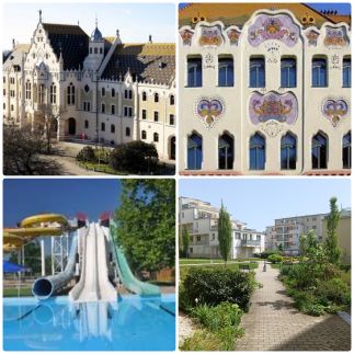 Local-Lux Apartman19
