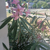 Hűvös Apartman