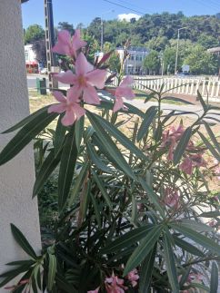 Hűvös Apartman