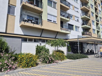 Silver Apartman - Cadet1