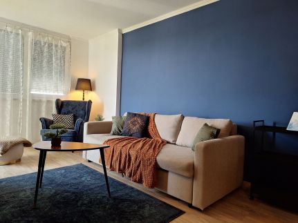 Silver Apartman - Cadet4