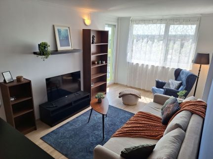 Silver Apartman - Cadet6