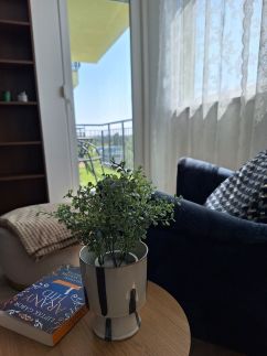 Silver Apartman - Cadet7