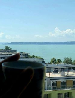 Silver Apartman - Cadet