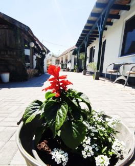 Gera Apartman2