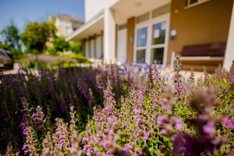 Beszédes 59 Apartman by BLTN18