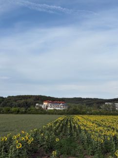 Casa Lara Apartman47