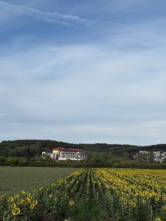 Casa Lara Apartman49