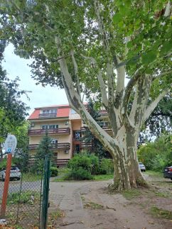 Wanderer Forest  Apartman15