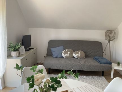Rókalyuk Apartman4
