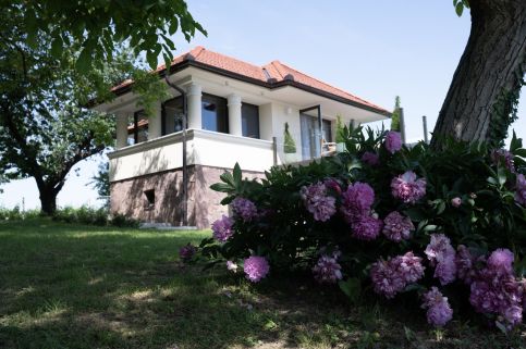 VillaPince19
