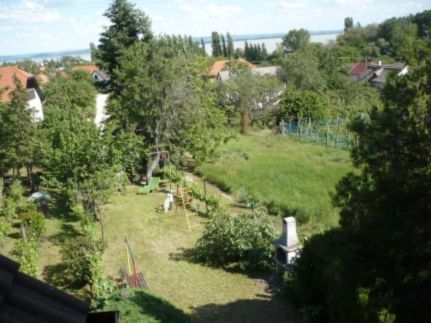 Dávid Nyaraló7