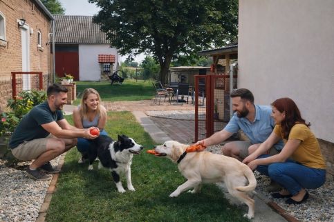 Bagotai Vendégház9