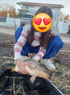 Buborék Vendégház25