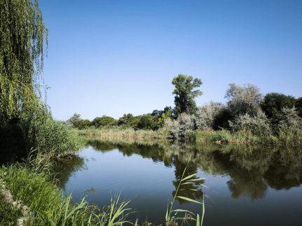 Buborék Vendégház22