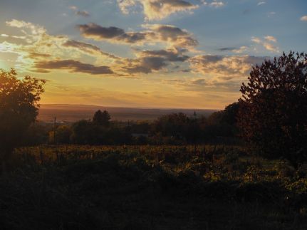 Baglyashegy Vendégház17