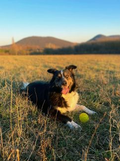 Baglyashegy Vendégház18