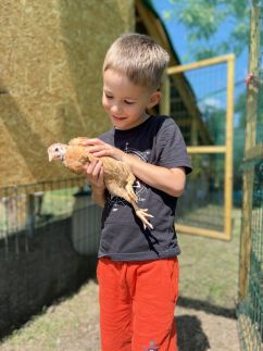 Petőfi 35 Vendégház11