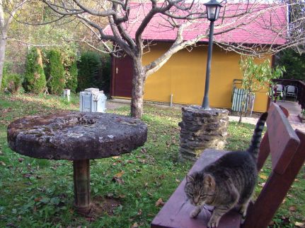 Gereben Villa29
