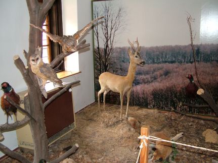 Gereben Villa47