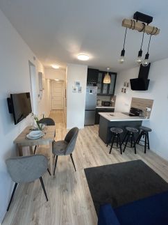Ponton Apartman11