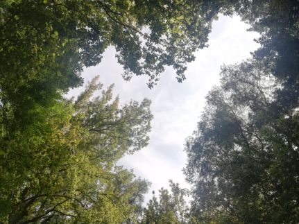 Gemenc-Lak Vendégház82