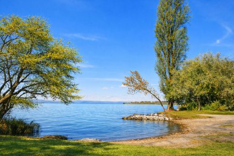 Strandközeli Nyaralóház6