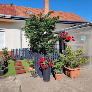 Bem-Oázis Apartman15