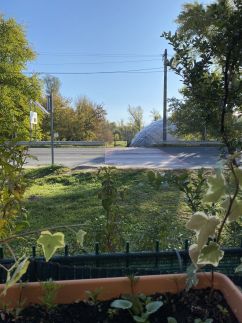 Korzó Terasz11
