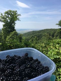 Kő - Papír - Olló Vendégház47