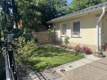 Gyopárosi Napsugár9