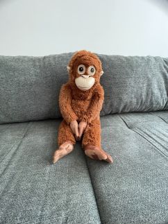 BB Apartman20