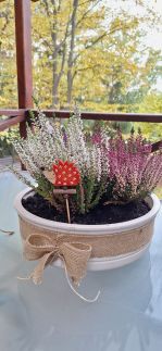 Pitypang Vendégház15