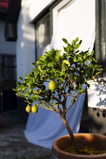 Dolce Villa Vendégház19