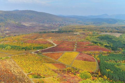 Dolce Villa Vendégház43