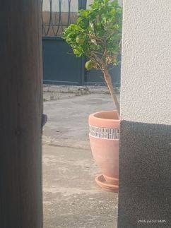 Dolce Villa Vendégház9