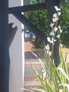 Dolce Villa Vendégház14