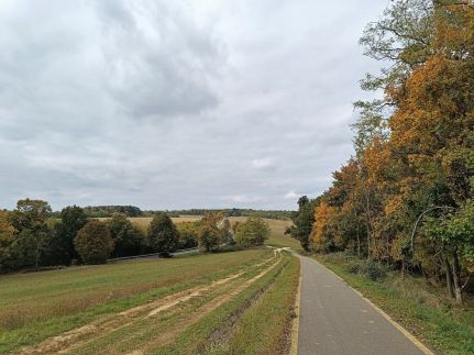 Barangoló Vendégház5