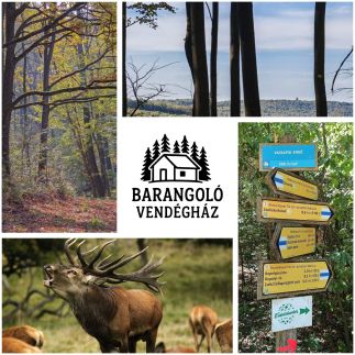 Barangoló Vendégház25