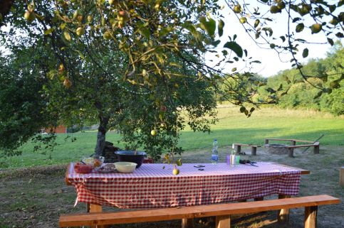 Barangoló Vendégház7