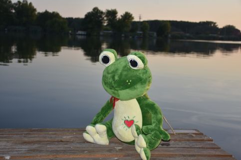 Békafütty Vendégház6