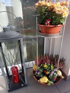 Cinege Apartman23