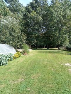 Cinege Apartman4